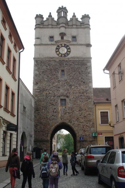 obrázek