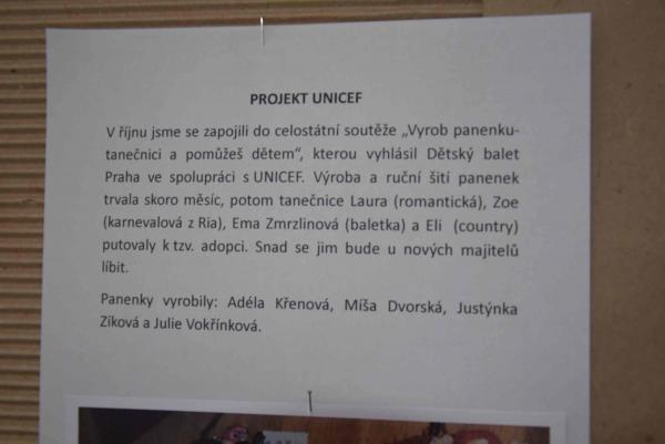 obrázek