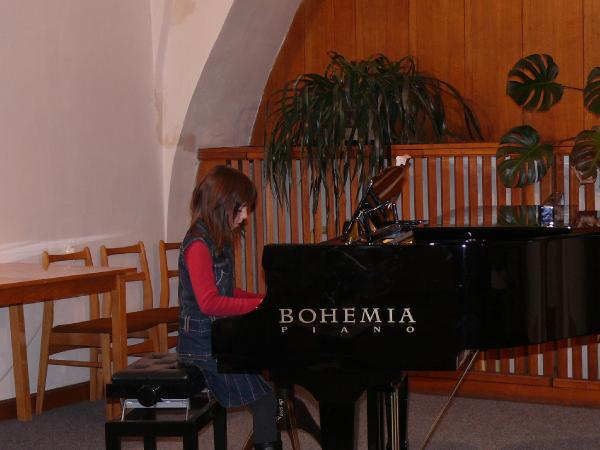 obrázek